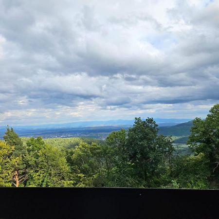 Le Panorama Studio Prive Avec Vue Magnifique Turckheim Trois Epis Exterior foto