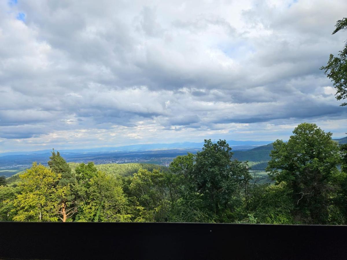 Le Panorama Studio Prive Avec Vue Magnifique Turckheim Trois Epis Exterior foto