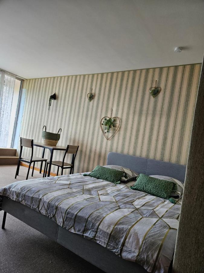 Le Panorama Studio Prive Avec Vue Magnifique Turckheim Trois Epis Exterior foto