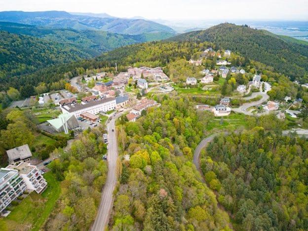 Le Panorama Studio Prive Avec Vue Magnifique Turckheim Trois Epis Exterior foto
