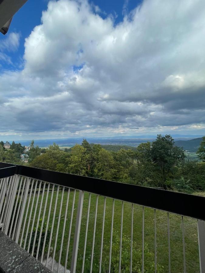 Le Panorama Studio Prive Avec Vue Magnifique Turckheim Trois Epis Exterior foto